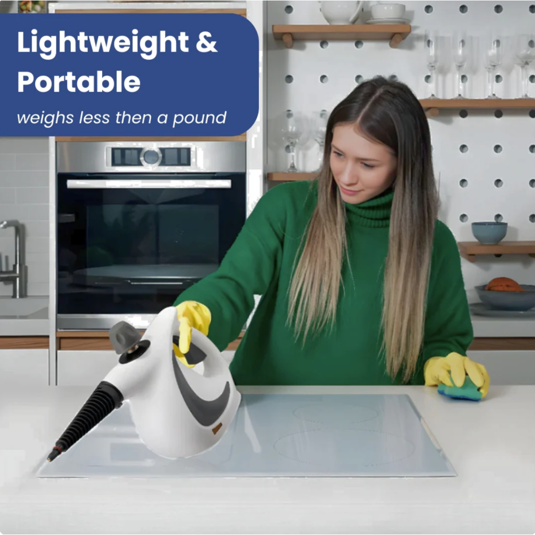 AirLoom MistSteam™ – Deep Clean Made Simple
