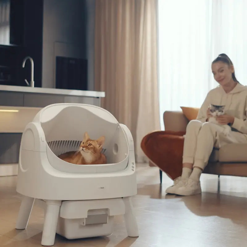 Airloom AutoScooper – Open-Top Self-Cleaning Cat Litter Box