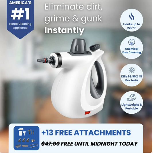 AirLoom MistSteam™ – Deep Clean Made Simple