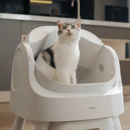 Airloom AutoScooper – Open-Top Self-Cleaning Cat Litter Box