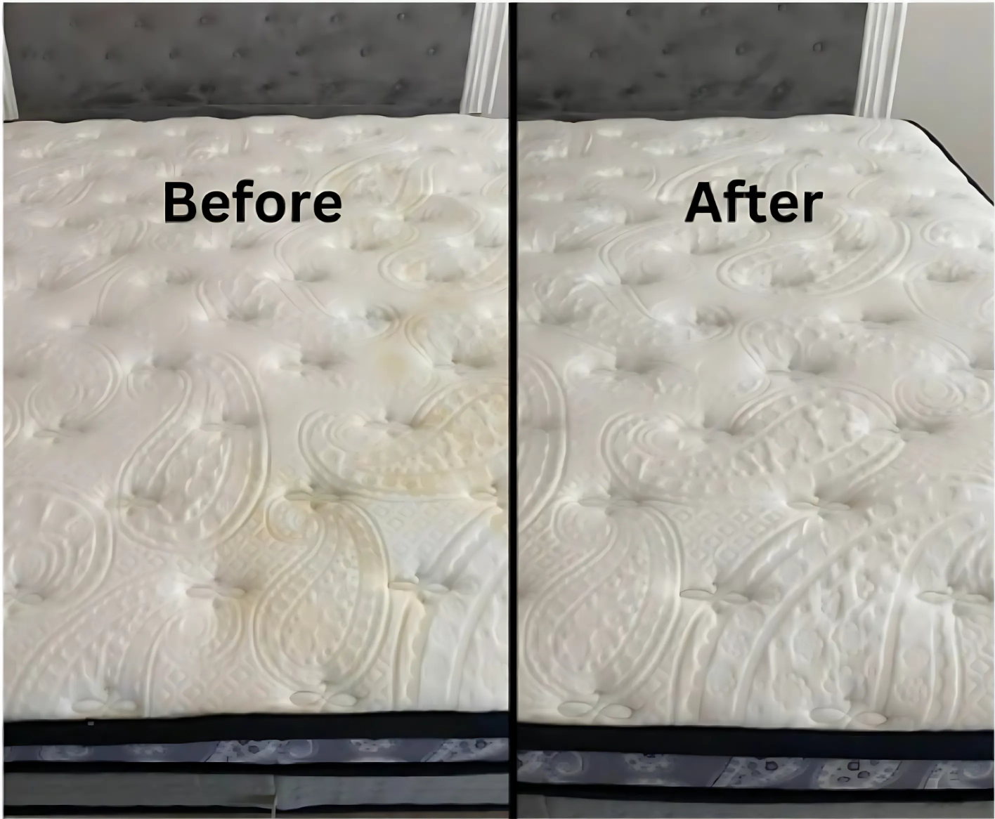 AirLoom™ S300 Pro UV-C Mattress & Fabric Vacuum Cleaner