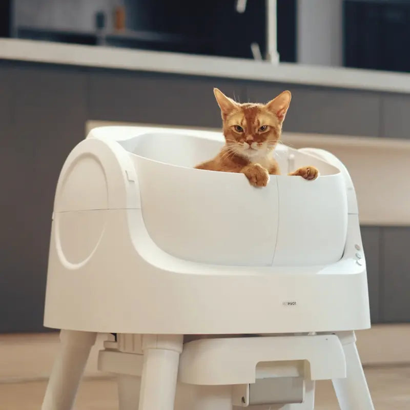 Airloom AutoScooper – Open-Top Self-Cleaning Cat Litter Box